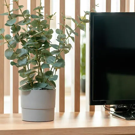 Cozy With Parking In By Renters Apartamento *